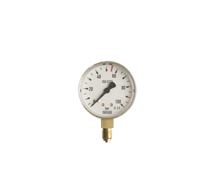 Manometer blank 0-100 bar 63mm
