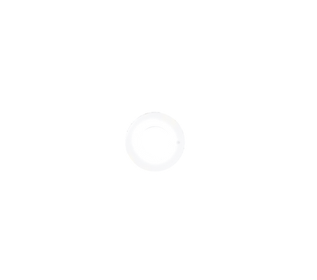 Dichtring PVDF 1"W NEN