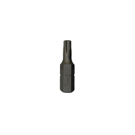1/4 BIT T20 TORX